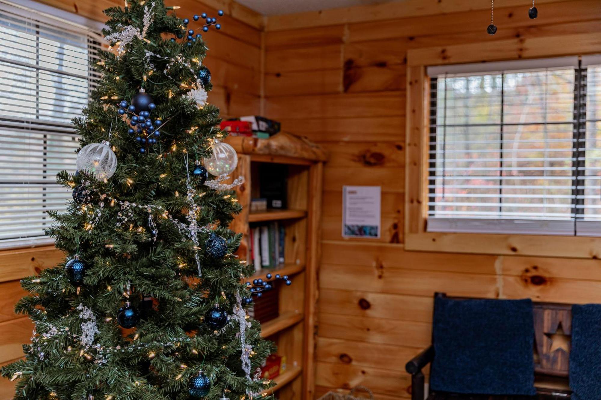 The Eagle'S Nest Mountain Cabin جاتلينبرج المظهر الخارجي الصورة